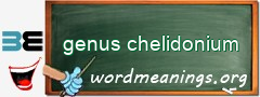 WordMeaning blackboard for genus chelidonium